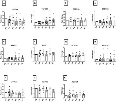 Predicting and Promoting Human Bone Marrow MSC Chondrogenesis by Way of TGFβ Receptor Profiles: Toward Personalized Medicine